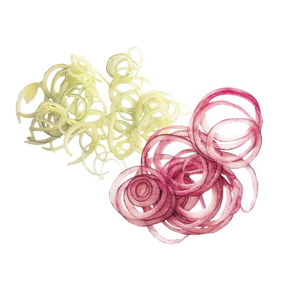 картинка СЛАЙСЕР 1 ММ Robot Coupe Арт. 28062W 